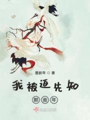 我被迫从良那些年 叶火