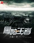 黑暗王者番外