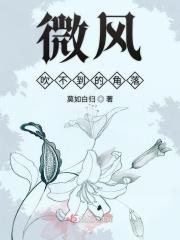 无敌师弟全文免费阅读