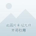 我成了天下第一美男